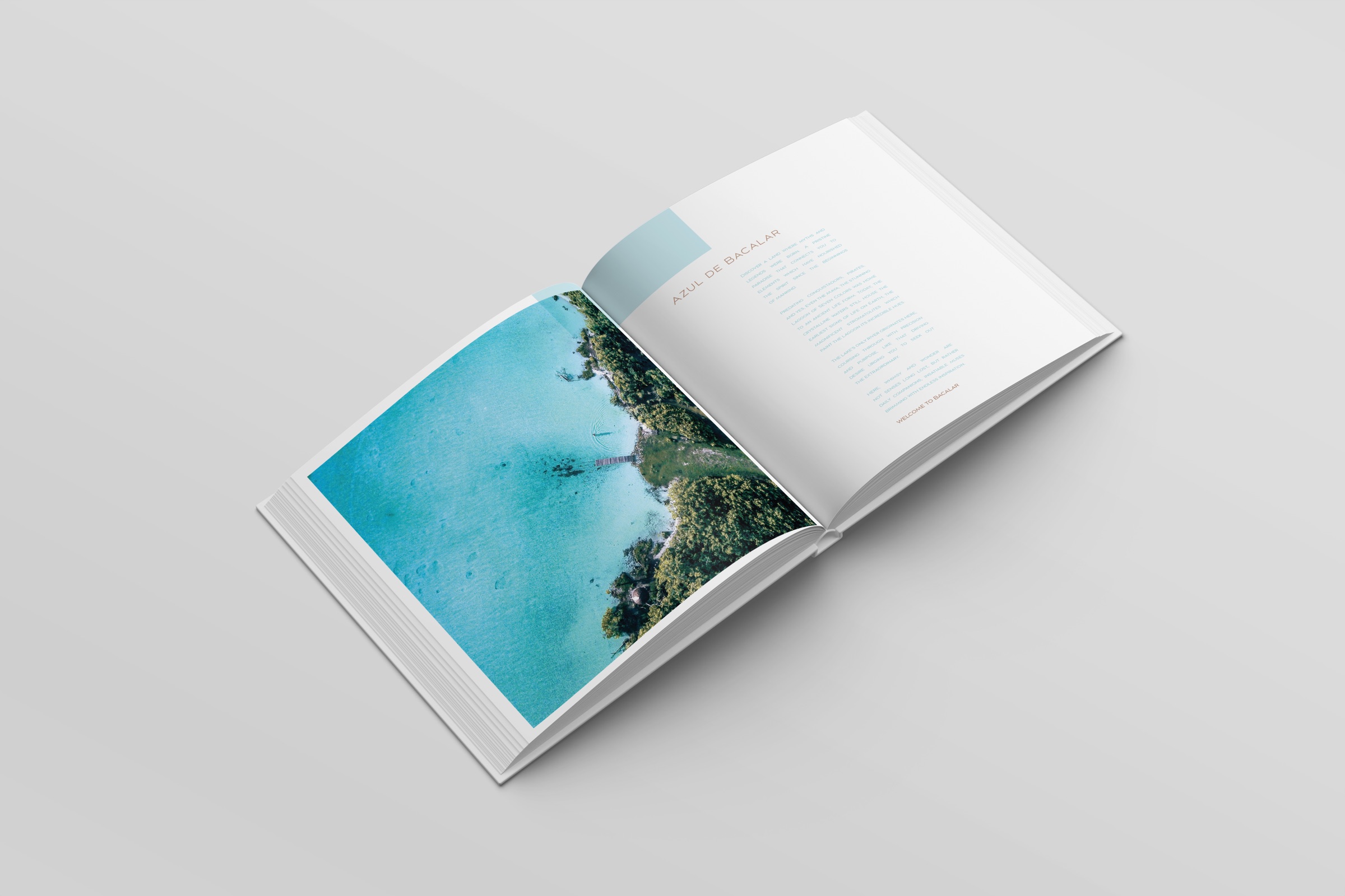 Open brochure spread showing a coastal photograph